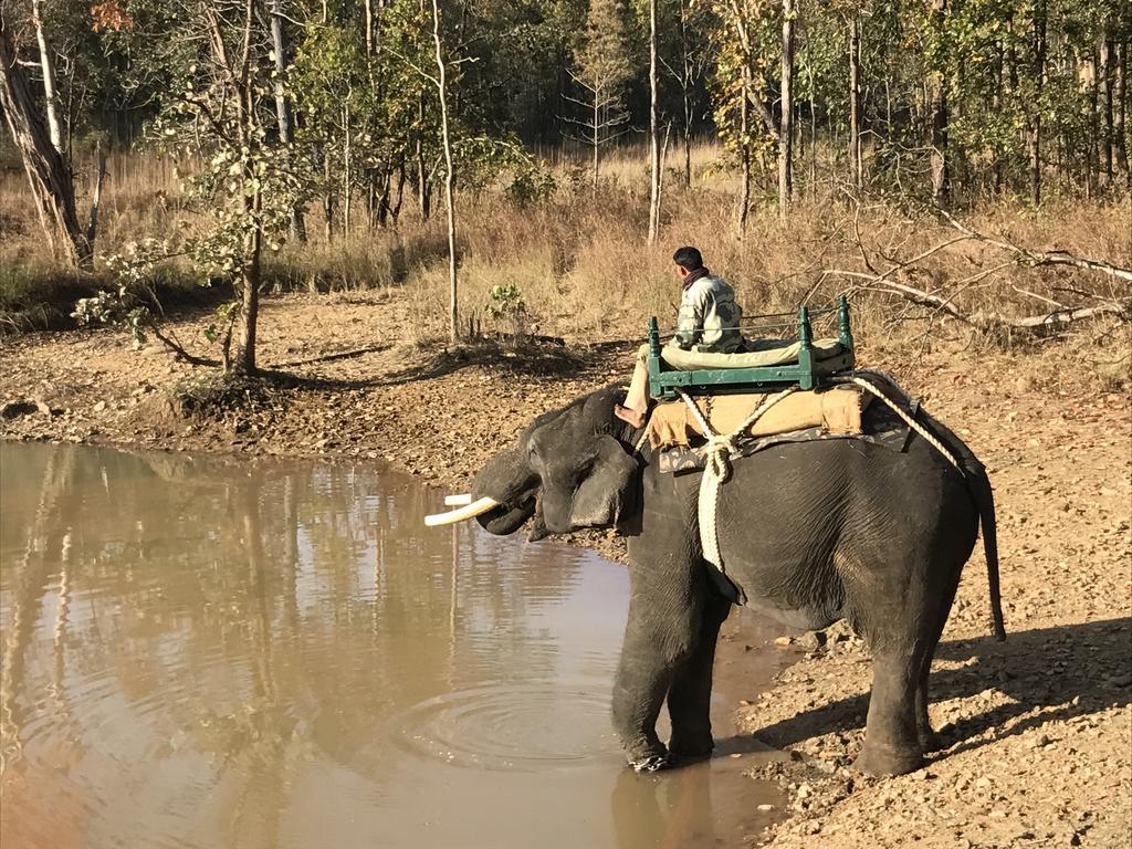 Kamp Kamouflage Kānha Esterno foto